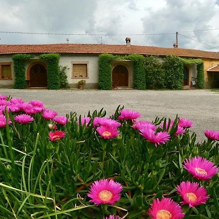 Agriturismo Monte Alzato Capalbio Exterior foto