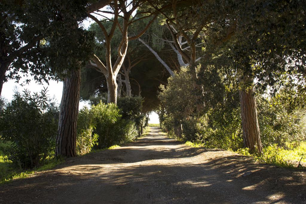 Agriturismo Monte Alzato Capalbio Exterior foto